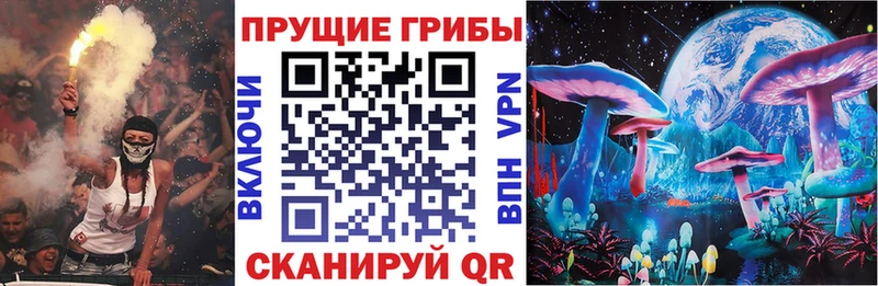 Галлюциногенные грибы Psilocybe  купить  цена  Озёры 